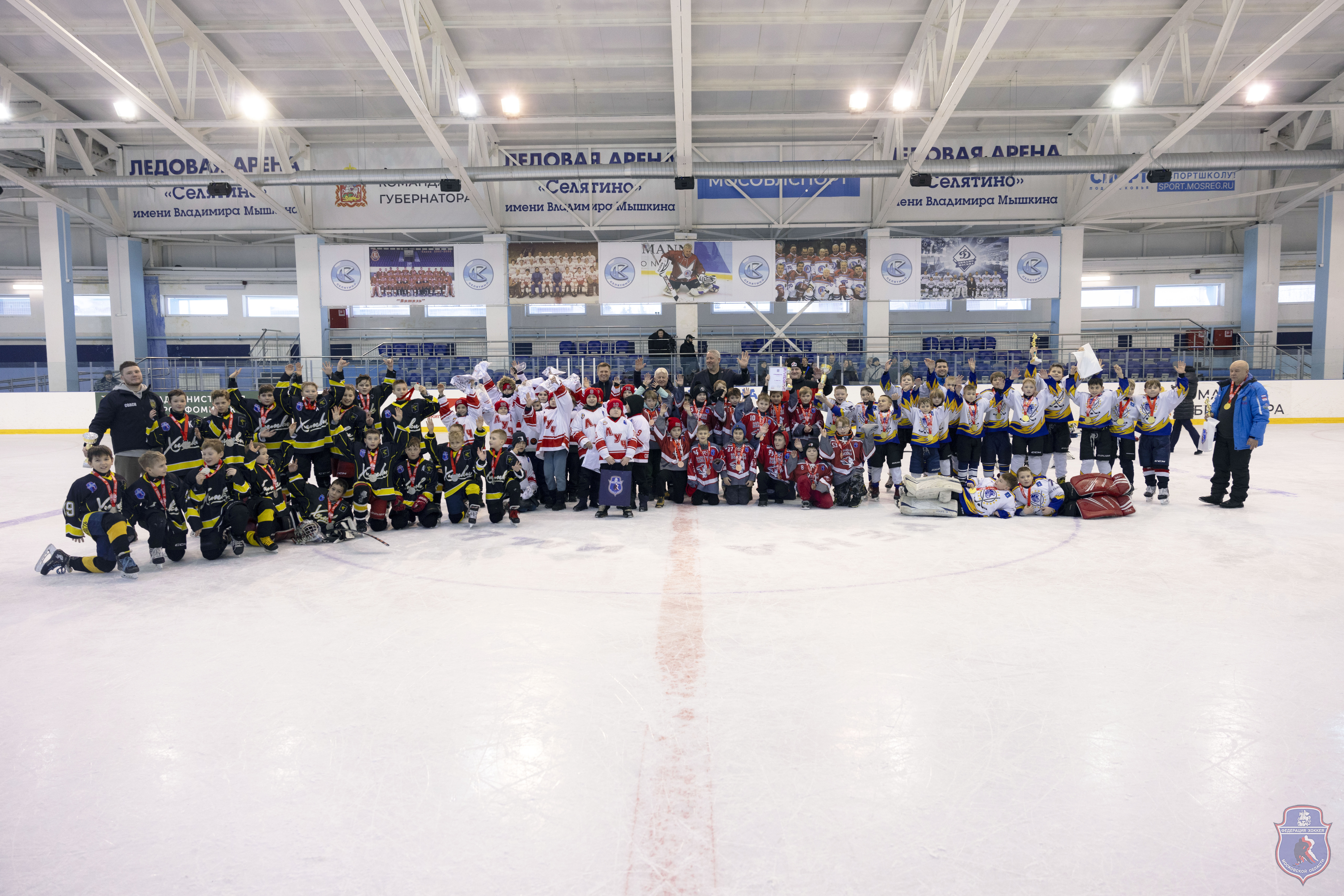 СЕЛЯТИНО «ЗОЛОТАЯ ШАЙБА» В МОСКОВСКОЙ ОБЛАСТИ. КОМАНДЫ 2015-2016 Г.Р.