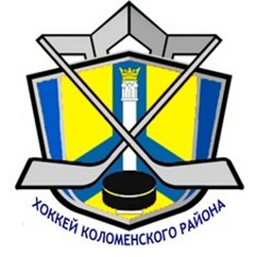 МБУ ДО «Спортивная школа по хоккею»