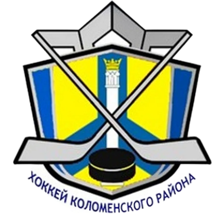 МБУ ДО «Спортивная школа по хоккею»